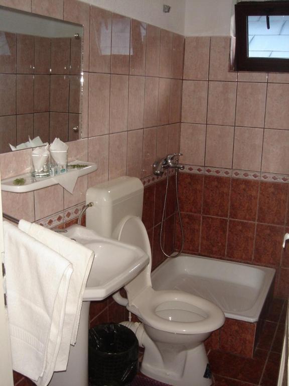 Vila Cristina Ceahlău Habitación foto